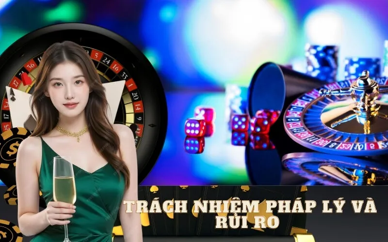 Trách Nhiệm Pháp Lý và Rủi Ro 