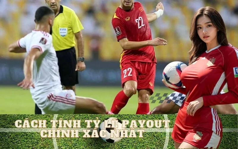 Cách Tính Tỷ Lệ Payout Chính Xác Nhất